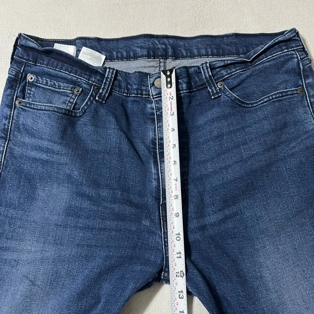 Levis levis 513